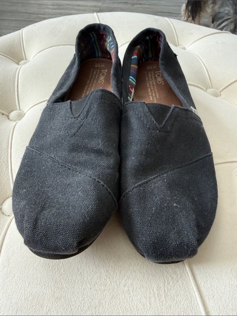 Toms Black Canvas Men's Slip-On Loafers with Striped Lining